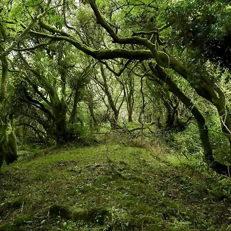 منزل ريفي Edmondstown House Ballaghaderreen