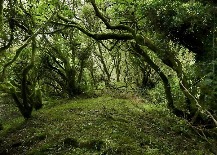 Landhuis Edmondstown House Ballaghaderreen